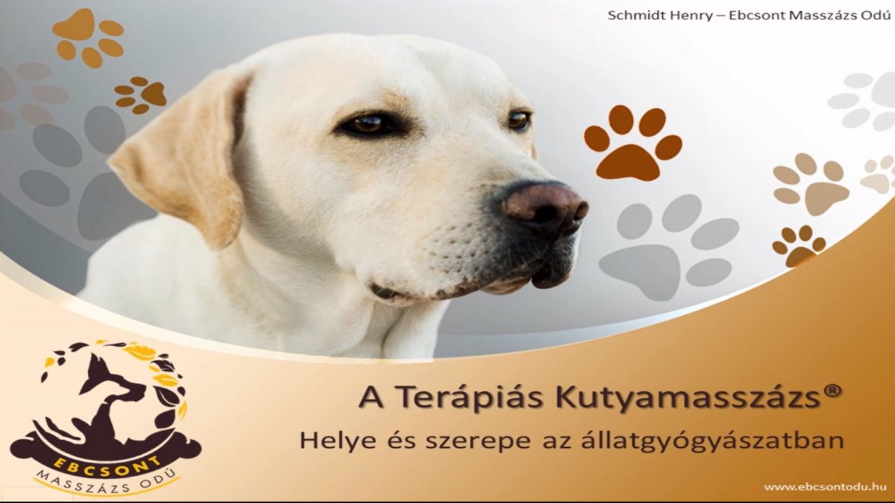 A Terápiás Kutyamasszázs® bemutatása