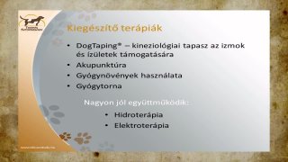 A Terápiás Kutyamasszázs®