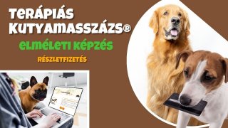 Terápiás Kutyamasszázs® elmélet /részletfizetés