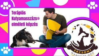 Terápiás Kutyamasszázs® elméleti képzés