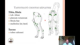 Általános biomechanika – vizsgálati módok