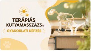 Gyakorlati kurzus 2026 május - június