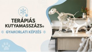 Gyakorlati kurzus 2026/2027