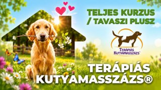 Terápiás Kutyamasszázs® teljes kurzus / tavasz II.