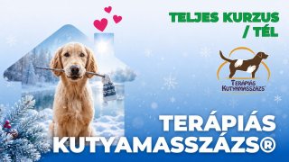 Terápiás Kutyamasszázs® teljes kurzus / tél