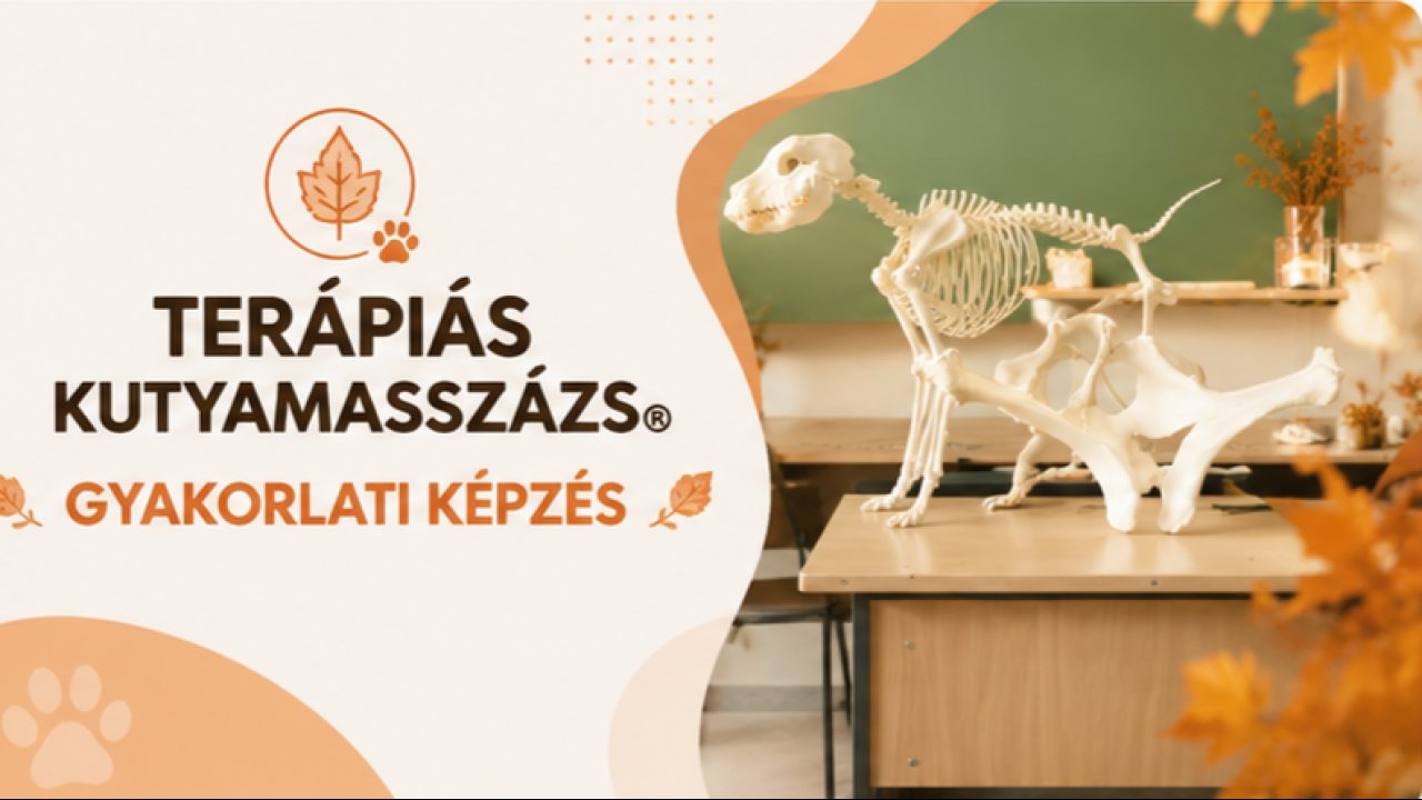 Gyakorlati kurzus 2026 szeptember