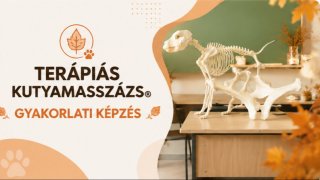 Gyakorlati kurzus 2026 szeptember
