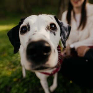 Mokcsay-Bangó Zsófia